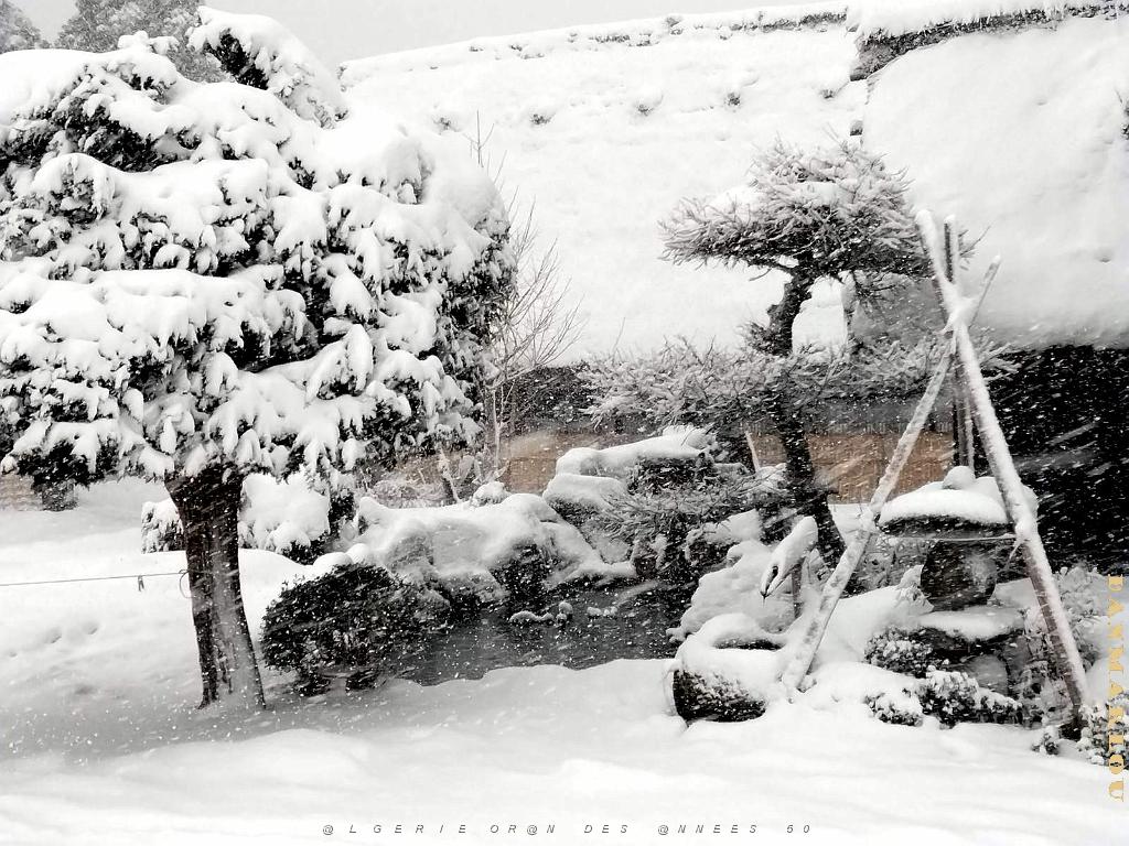Nagoya - Excursion a Shirakawa via Takayama - 104.JPG